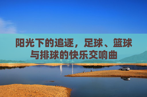 阳光下的追逐,足球、篮球与排球的快乐交响曲