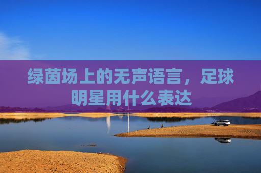绿茵场上的无声语言,足球明星用什么表达