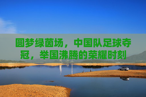 圆梦绿茵场，中国队足球夺冠，举国沸腾的荣耀时刻