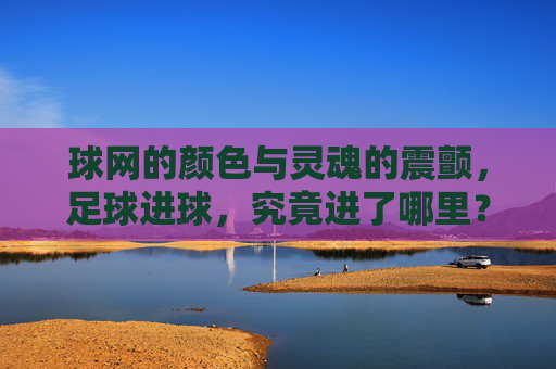 球网的颜色与灵魂的震颤，足球进球，究竟进了哪里？