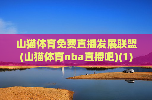 山猫体育免费直播发展联盟(山猫体育nba直播吧)(1)