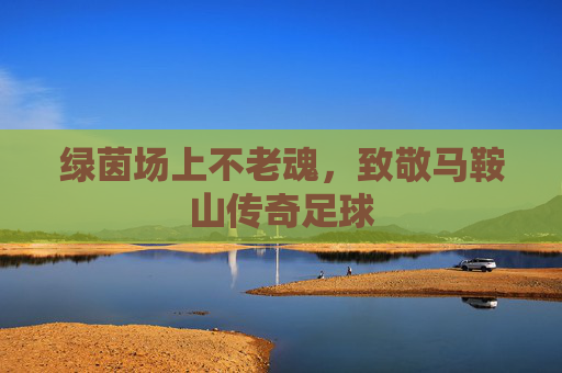 绿茵场上不老魂,致敬马鞍山传奇足球