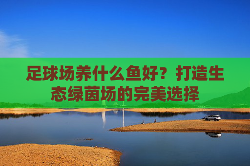 足球场养什么鱼好?打造生态绿茵场的完美选择