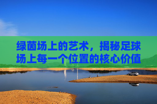 绿茵场上的艺术,揭秘足球场上每一个位置的核心价值