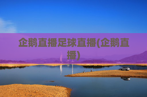 企鹅直播足球直播(企鹅直播)