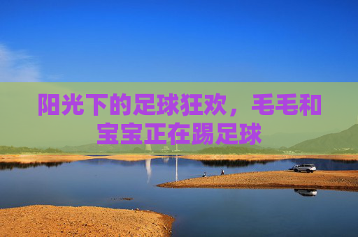阳光下的足球狂欢,毛毛和宝宝正在踢足球