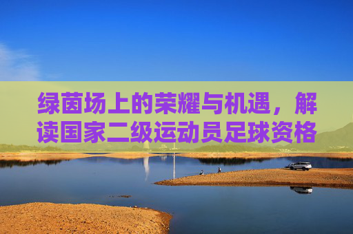 绿茵场上的荣耀与机遇,解读国家二级运动员足球资格