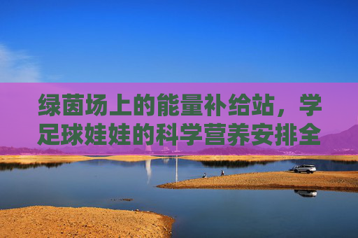 绿茵场上的能量补给站,学足球娃娃的科学营养安排全攻略