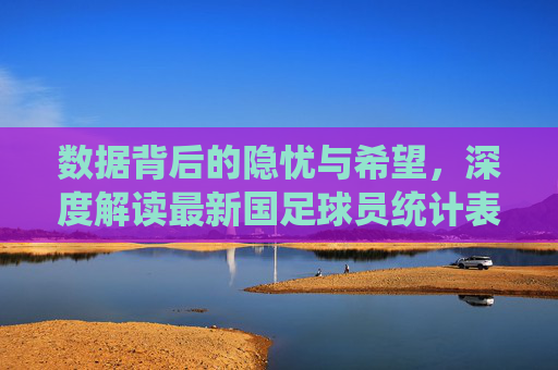 数据背后的隐忧与希望,深度解读最新国足球员统计表