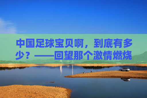中国足球宝贝啊，到底有多少？——回望那个激情燃烧的黄金时代