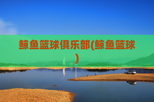 鲸鱼篮球俱乐部(鲸鱼篮球)