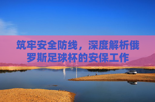 筑牢安全防线，深度解析俄罗斯足球杯的安保工作