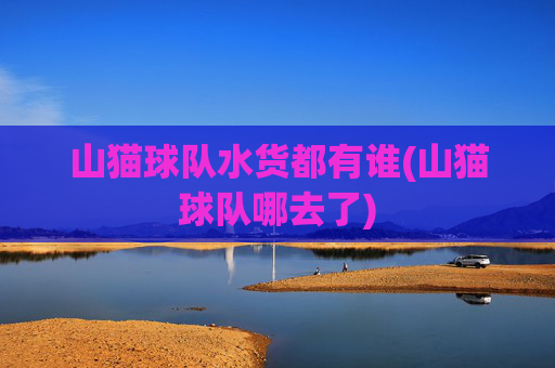 山猫球队水货都有谁(山猫球队哪去了)
