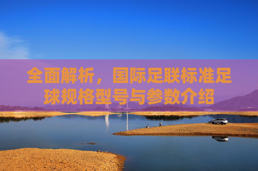 全面解析,国际足联标准足球规格型号与参数介绍