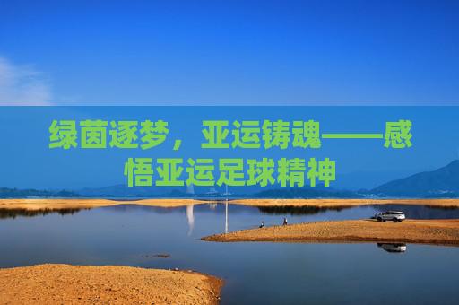 绿茵逐梦,亚运铸魂——感悟亚运足球精神