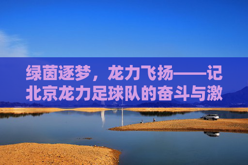绿茵逐梦,龙力飞扬——记北京龙力足球队的奋斗与激情