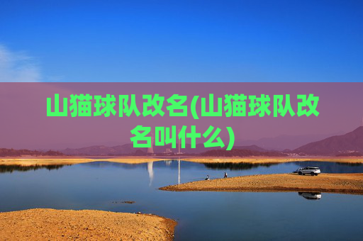山猫球队改名(山猫球队改名叫什么)