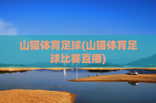 山猫体育足球(山猫体育足球比赛直播)