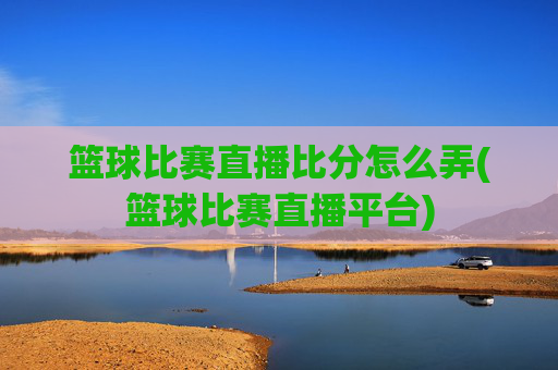 篮球比赛直播比分怎么弄(篮球比赛直播平台)