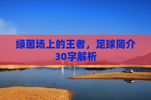 绿茵场上的王者,足球简介30字解析