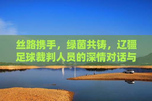 丝路携手,绿茵共铸,辽疆足球裁判人员的深情对话与专业共进