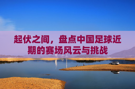 起伏之间,盘点中国足球近期的赛场风云与挑战
