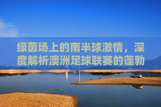 绿茵场上的南半球激情,深度解析澳洲足球联赛的蓬勃发展