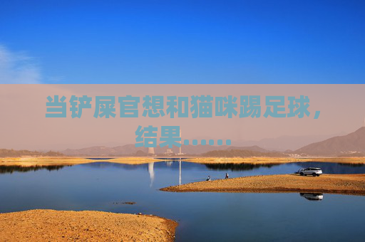 当铲屎官想和猫咪踢足球,结果……