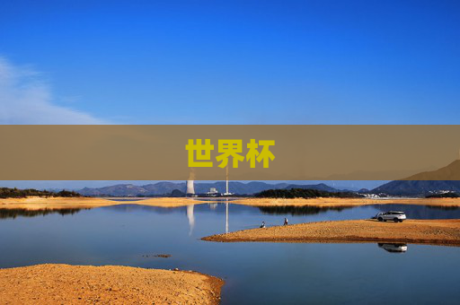世界杯