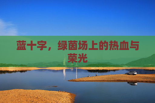 蓝十字,绿茵场上的热血与荣光