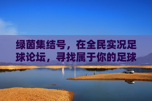 绿茵集结号,在全民实况足球论坛,寻找属于你的足球灵魂