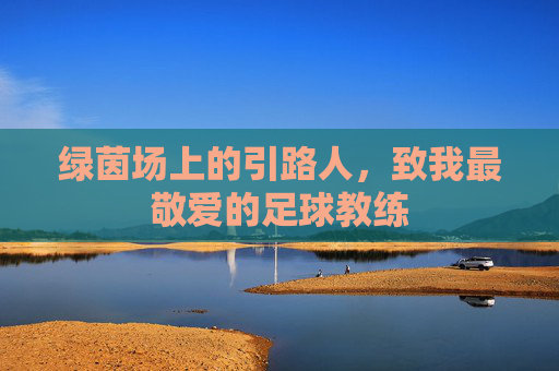 绿茵场上的引路人,致我最敬爱的足球教练