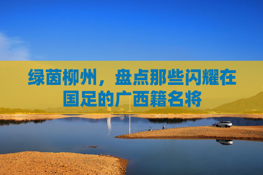 绿茵柳州,盘点那些闪耀在国足的广西籍名将