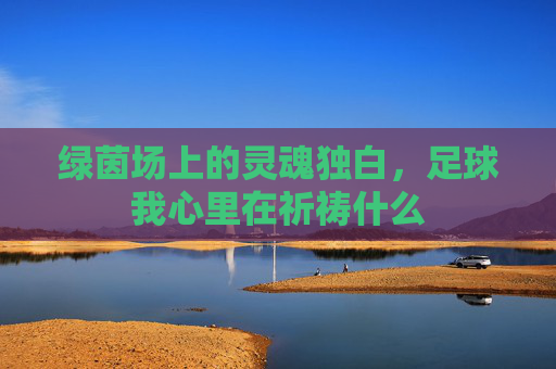 绿茵场上的灵魂独白，足球我心里在祈祷什么