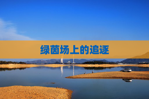 绿茵场上的追逐