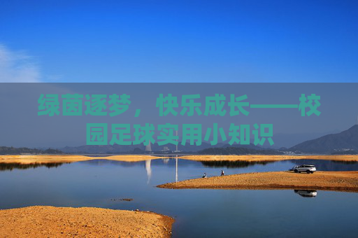 绿茵逐梦,快乐成长——校园足球实用小知识
