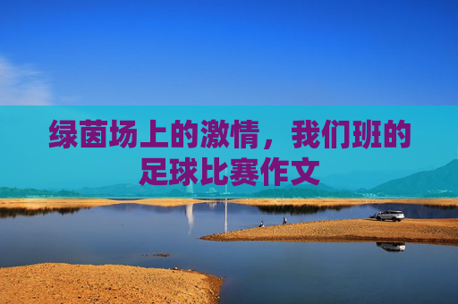 绿茵场上的激情,我们班的足球比赛作文
