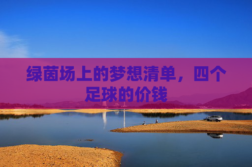 绿茵场上的梦想清单，四个足球的价钱