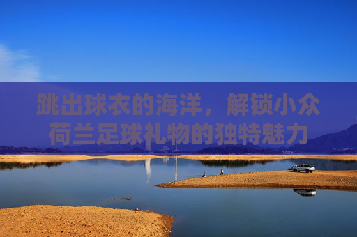 跳出球衣的海洋,解锁小众荷兰足球礼物的独特魅力