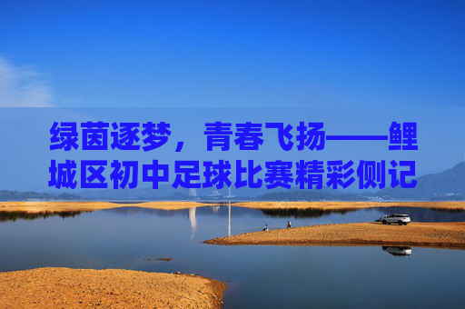 绿茵逐梦,青春飞扬——鲤城区初中足球比赛精彩侧记