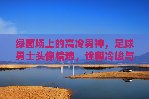 绿茵场上的高冷男神,足球男士头像精选,诠释冷峻与热爱