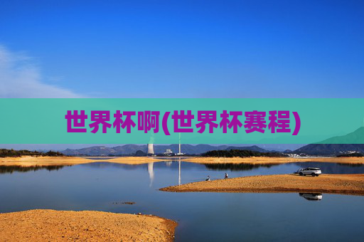 世界杯啊(世界杯赛程)