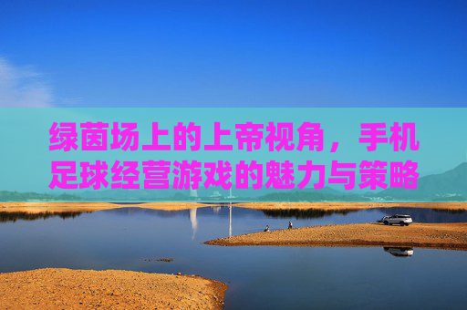 绿茵场上的上帝视角,手机足球经营游戏的魅力与策略