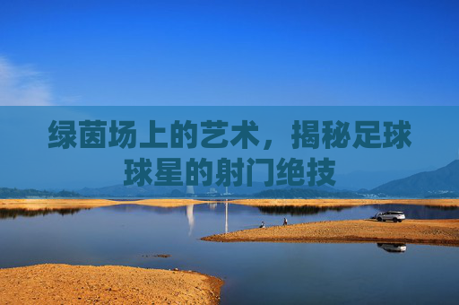 绿茵场上的艺术，揭秘足球球星的射门绝技