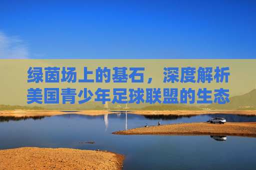 绿茵场上的基石,深度解析美国青少年足球联盟的生态与文化
