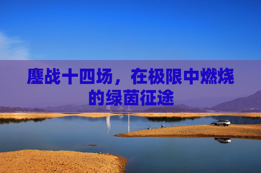 鏖战十四场,在极限中燃烧的绿茵征途