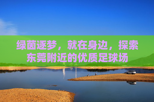 绿茵逐梦,就在身边,探索东莞附近的优质足球场
