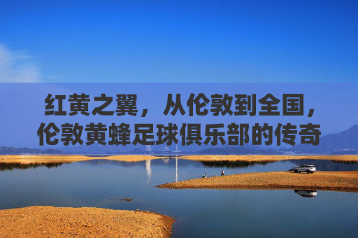 红黄之翼，从伦敦到全国，伦敦黄蜂足球俱乐部的传奇之路