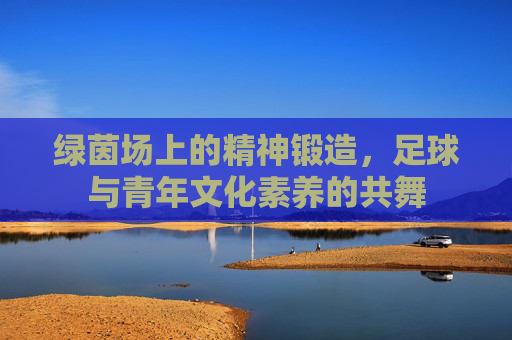绿茵场上的精神锻造,足球与青年文化素养的共舞