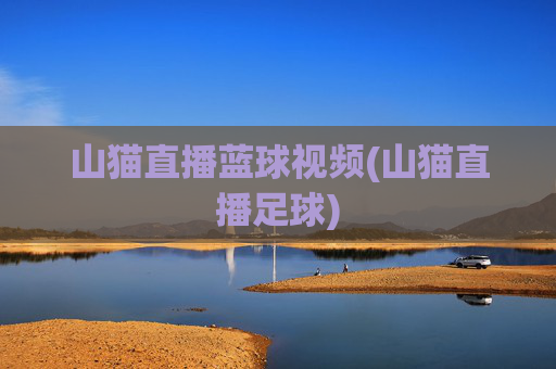 山猫直播蓝球视频(山猫直播足球)